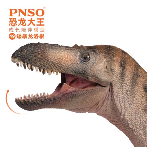 PNSO矮暴龙洛根恐龙大王成长陪伴模型49 - 图3