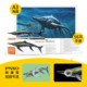 PNSO Guizhou Yulong Youran Dinosaur King Growth Companion Model 90