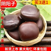 Wild Yin and Yang Wooden Waist Over the Yangtze River Longson 500g Kidney Fruits Male Bubble Wine Stock Chinese Herbal Medicine Hitch Flow Fruit Double Kidney