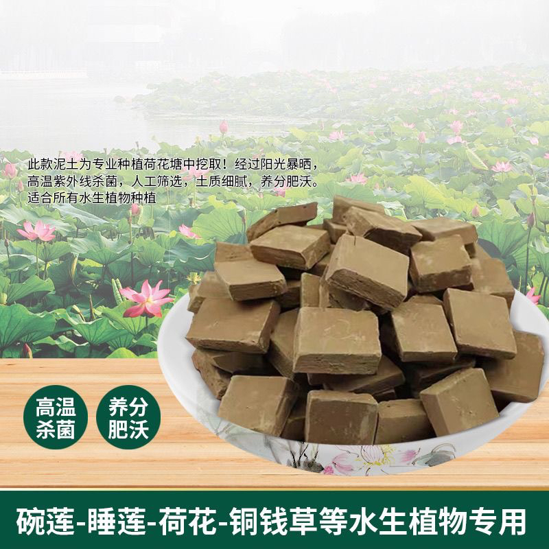 荷塘泥碗莲睡莲天然纯正塘泥荷花专用肥水盆栽水土培通用营养土 - 图1