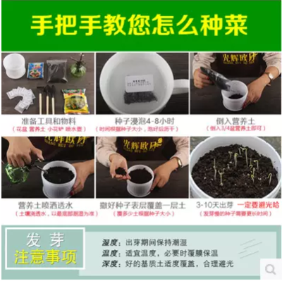 蔬菜种子套餐四季播阳台种菜庭院秋季水果盆栽菠菜小葱香菜韭菜籽