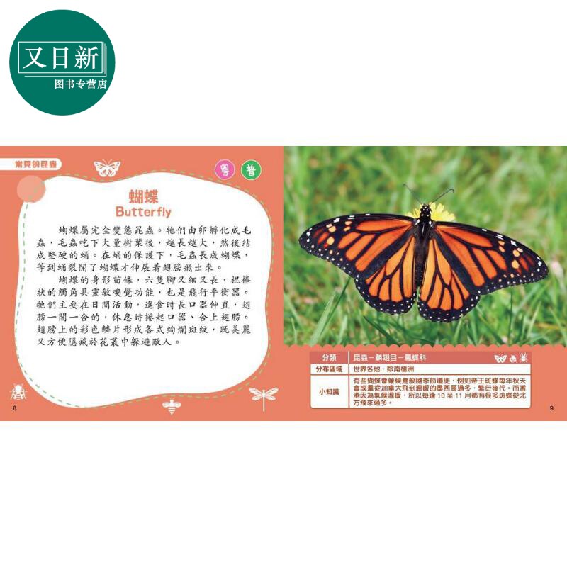 新雅点读乐园 小百科图鉴系列5册 动物 交通工具 地球 昆虫 蔬菜水果 儿童早教科普绘本 认知识物图画书 港台原版 又日新