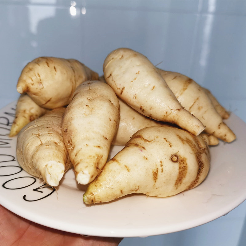 白皮白瓤人参薯牛奶板栗5斤10地瓜 薯中情番薯