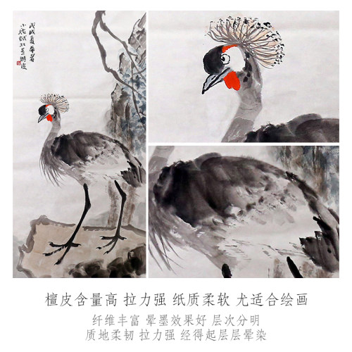 红星宣纸红星牌特种净皮四尺全开白色檀皮生宣纸书画绘画宣纸旗舰店毛笔字专业书法专用纸作品纸国画收藏馈赠 - 图2