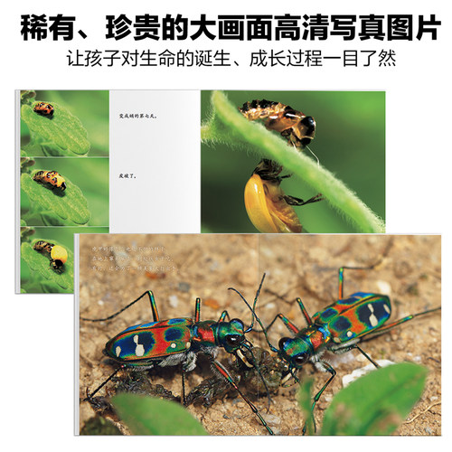 【无穷小亮推荐】生命的故事10册44册科普绘本礼盒3-10岁诞生了系列昆虫动物百科全书少儿童课外阅读自然启蒙幼儿园小学生图书 - 图0