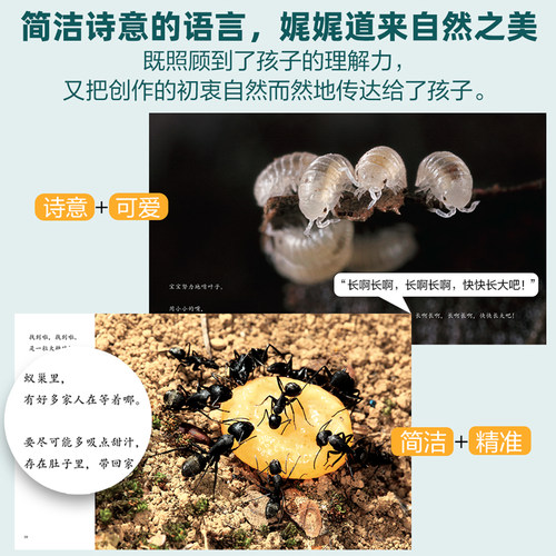 【无穷小亮推荐】生命的故事10册44册科普绘本礼盒3-10岁诞生了系列昆虫动物百科全书少儿童课外阅读自然启蒙幼儿园小学生图书 - 图2