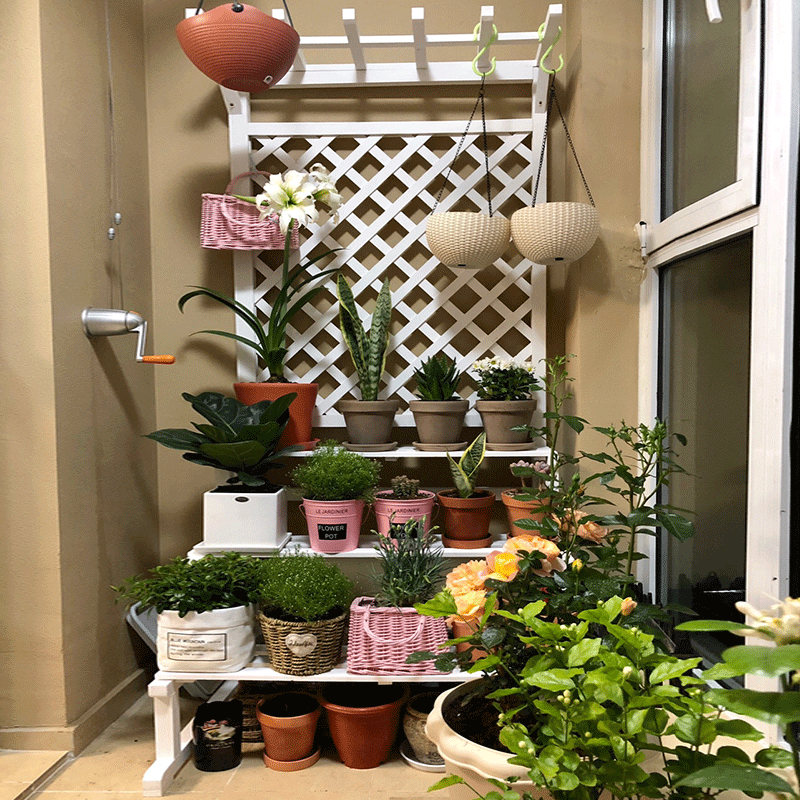 阳台花架落地式多层阶梯花架子室内客厅网格置物花盆架防腐木花架,淘宝优惠券,粉丝福利购,淘宝优惠卷