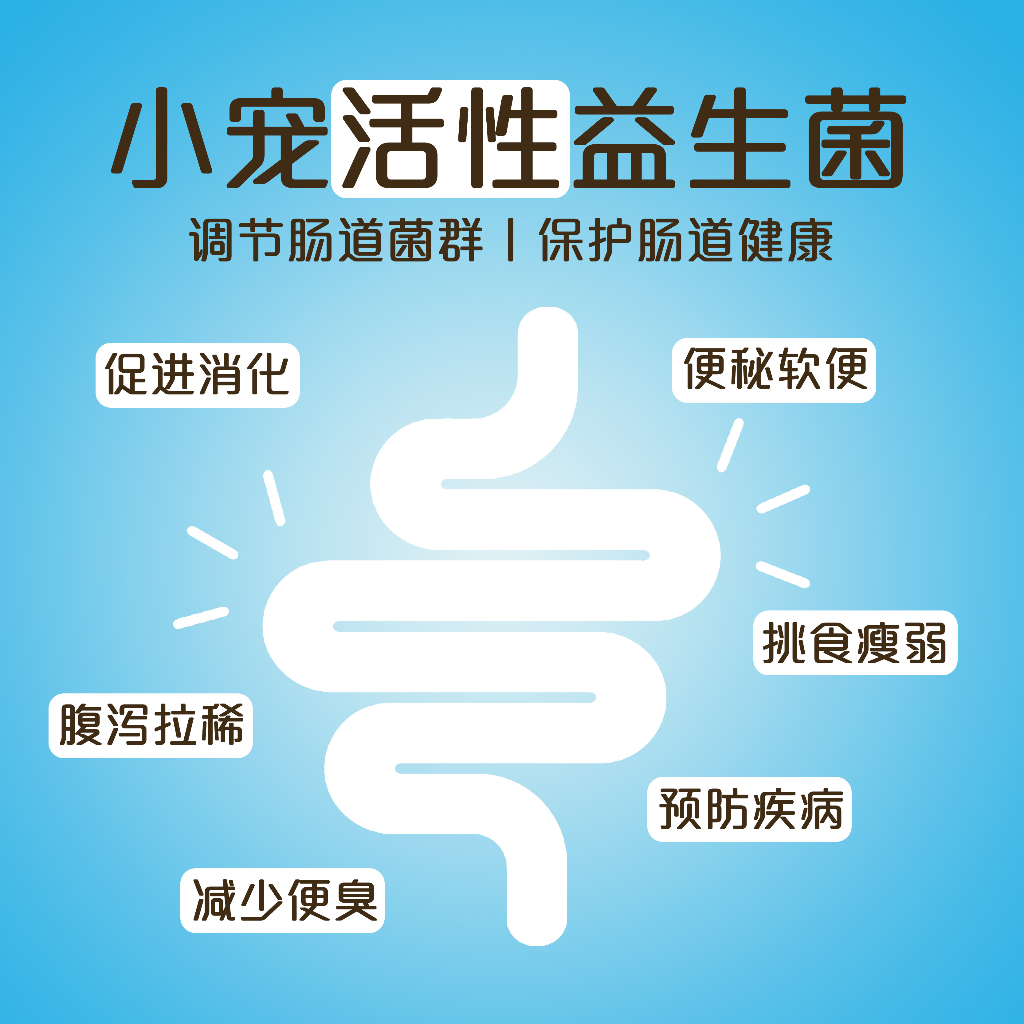 仓鼠金丝熊益生菌糊糊促消化调理肠胃小宠专用花枝鼠营养保健粉,淘宝优惠券,粉丝福利购,淘宝优惠卷