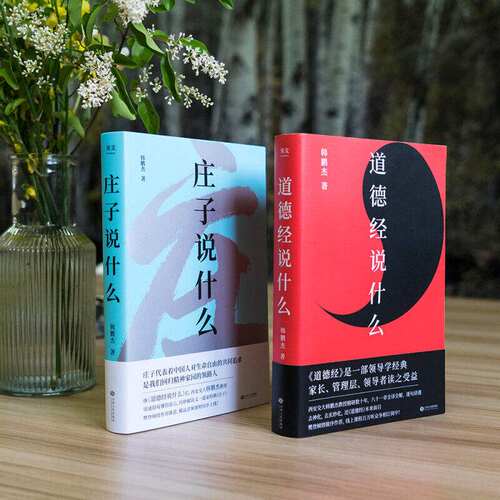庄子说什么+道德经说什么(套装2册) 韩鹏杰 庄子思想 道家作品解读 樊登作序推荐 中国人对生命自由的共同追求 果麦出品 - 图0