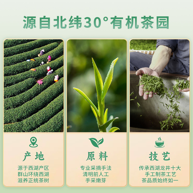 龙池古井2024明前特级西湖龙井茶 杭州龙井新茶绿茶送礼春茶茶叶 - 图1