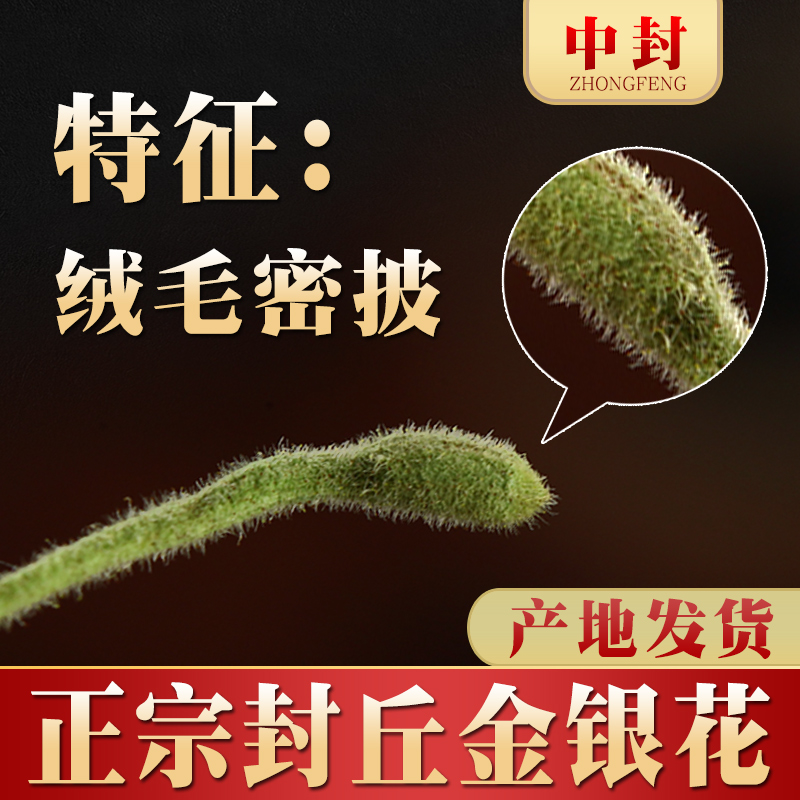  中封金银花