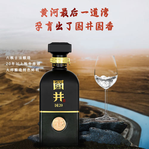 白酒53度国井国20_500ml瓶 国香型纯粮商务酒宴请送礼礼盒装 - 图0
