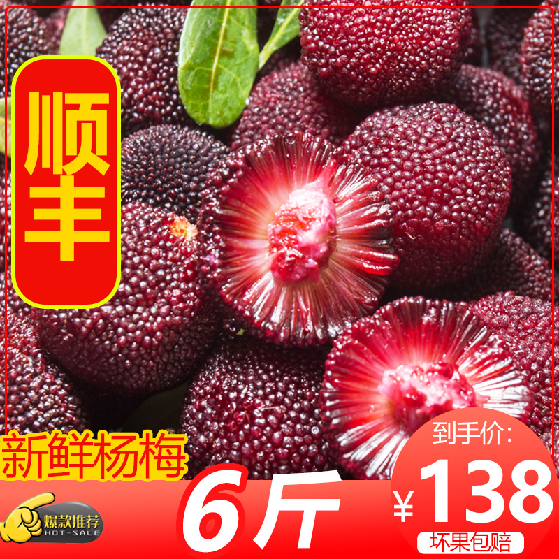 文大爷旗舰店【顺丰包邮】浮宫新鲜杨梅6斤装福建现摘应季批发现货时令水果0