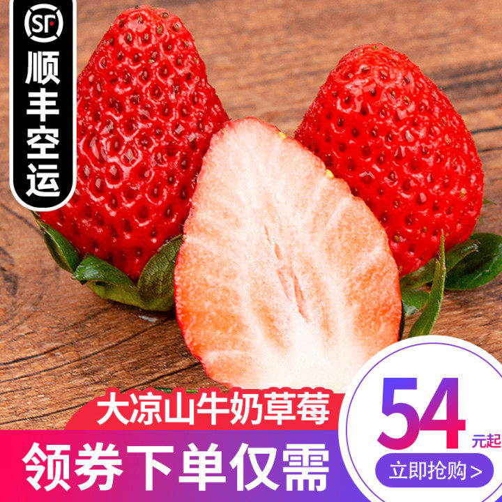 四川大凉山牛奶草莓新鲜当季水果奶油草莓现摘整箱顺丰包邮
