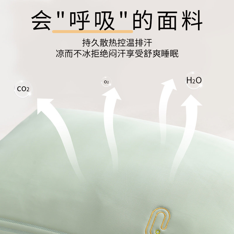  伊诺恩枕头/枕芯