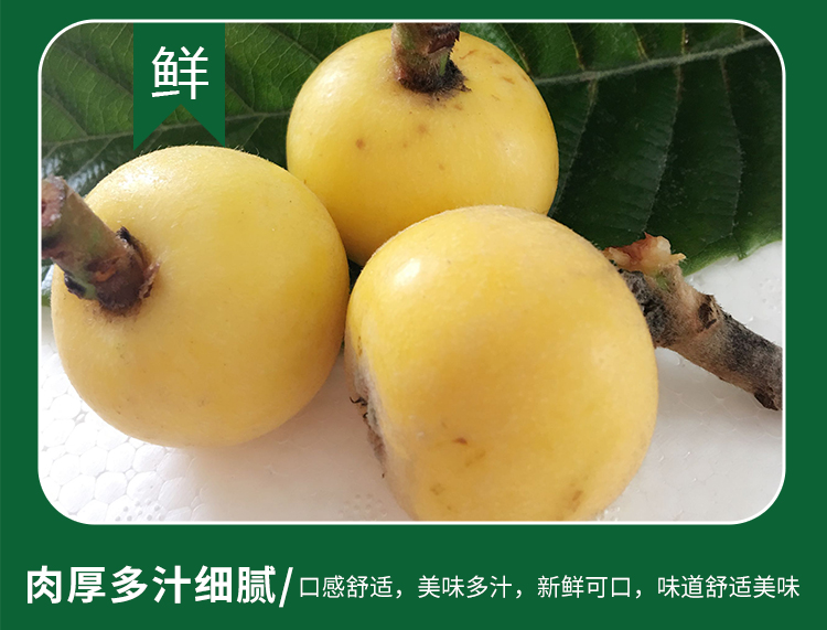 盎意果园旗舰店苏州东山新鲜水果白玉白沙枇杷果5斤礼盒装非塘栖西山琵琶包邮2