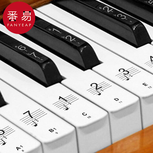 5Y钢琴键盘贴纸AB1sq801-电子琴贴88键61键54键透明音符音标贴 - 图0