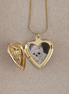 sweetbones粉色爱心swewt相册款可定制系列项链