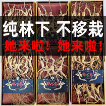 18-20 years in wild forest Ginseng ginseng Changbai Mountain ginseng Lineshan ginseng and dried ginseng soak in the whole branch of wine