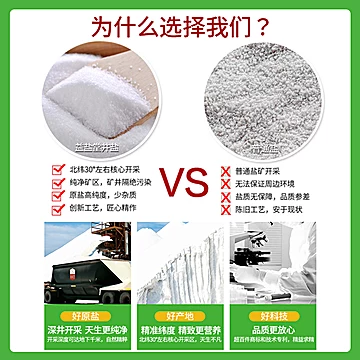 绿色盐场加碘/未加碘食用盐家用280g*10袋[6元优惠券]-寻折猪