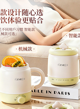 便携式电热暖奶杯炖煮一