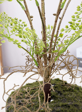 仿真蕨类绿植植物把束室