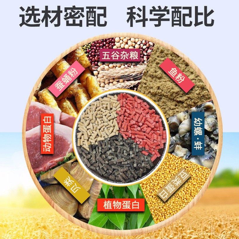 白鲨浮钓鲢鳙窝料速溶打窝颗粒酸臭草莓味速散缓沉饵花鲢白鲢鱼食,淘宝优惠券,粉丝福利购,淘宝优惠卷