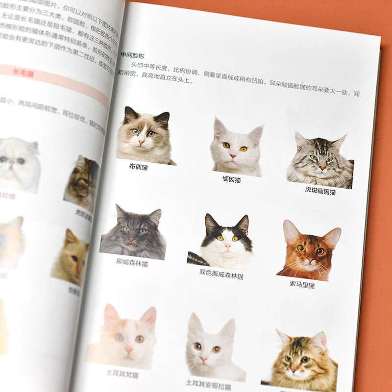 猫图鉴 179种纯种猫的特征习性 宠物猫图鉴 文字图解 高清鉴赏图片 自然科普爱好者的专业工具书 动物科普 养猫实用指南_虎窝淘