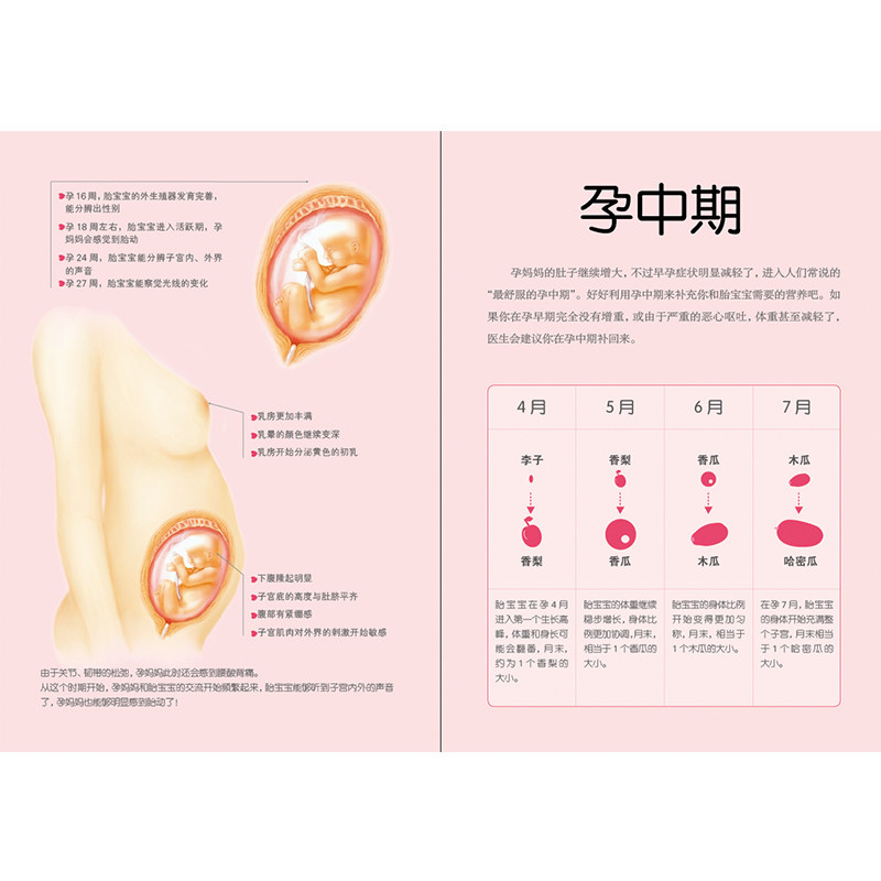 正版书籍怀孕每周吃什么左小霞孕妇大全怀孕期的书瘦孕备孕怀孕吃什么孕育孕期全程百科营养餐食谱月子餐调理孕妈妈长胎不长肉_虎窝淘