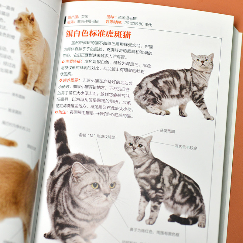猫图鉴 179种纯种猫的特征习性 宠物猫图鉴 文字图解 高清鉴赏图片 自然科普爱好者的专业工具书 动物科普 养猫实用指南_虎窝淘