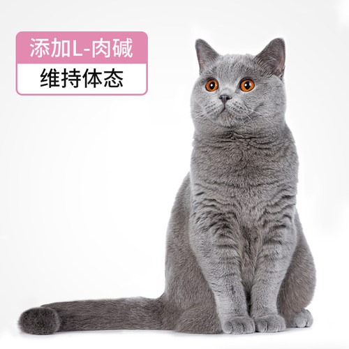 宠道夫英短猫专用猫粮成猫幼猫全价天然粮室内蓝猫2kg营养食品4斤 - 图1