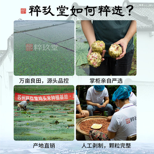 2026新鲜大颗粒苏州鸡头米500g现剥苏芡茨实顺丰官方包邮非干货 - 图0