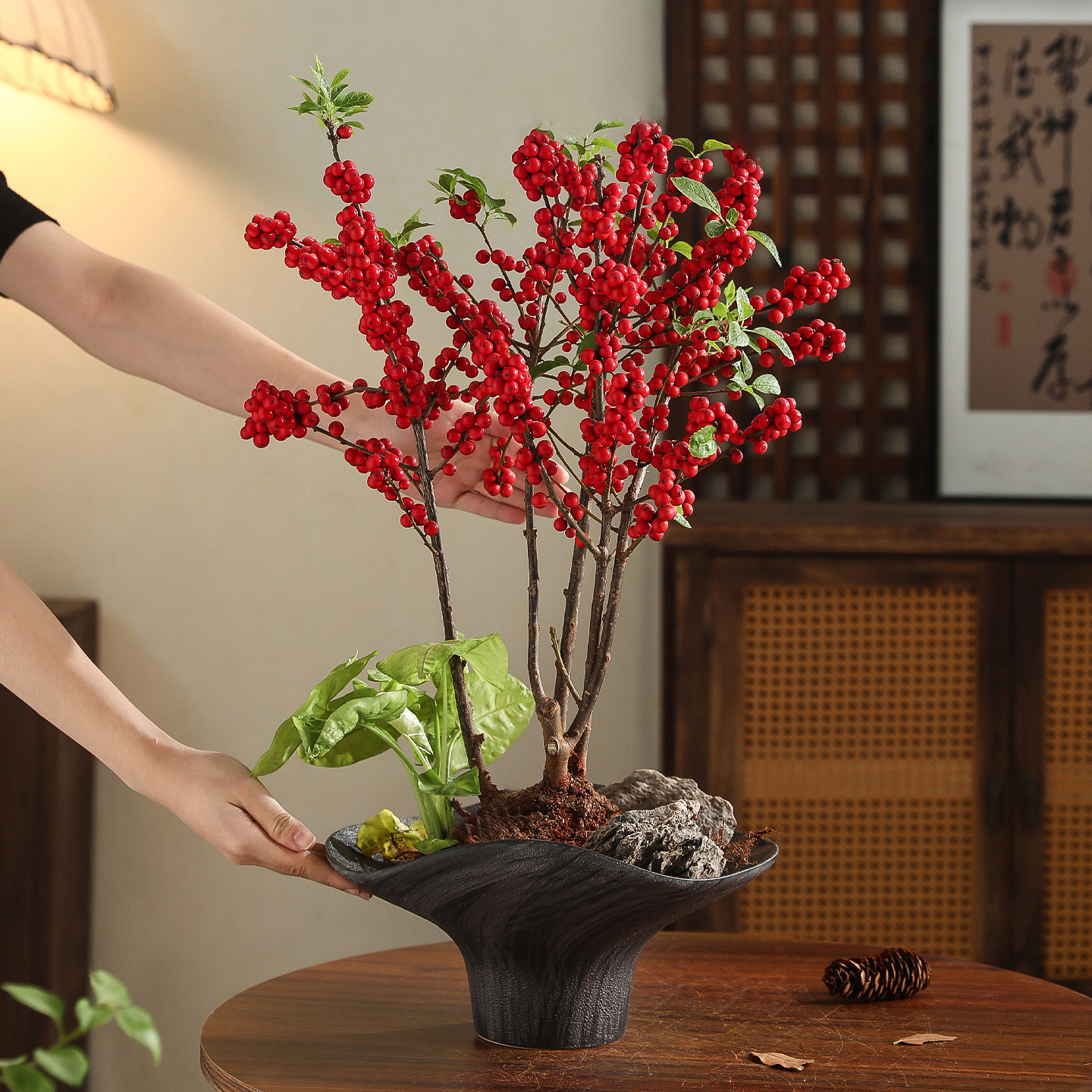 苔藓球专用盆栽陶瓷花盆禅意家用桌面轻奢高级感套盆创意绿植拼盘,淘宝优惠券,粉丝福利购,淘宝优惠卷