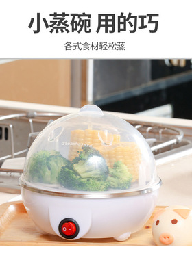 跨境美规110V便携式蒸蛋器 煮蛋机防干烧蒸蛋器煮蛋机Egg steamer