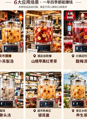 力人商用摆摊梨汤机热饮手动款大容量防爆煮茶养生机银耳酸梅汤机