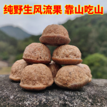 Wind flow fruit wild 500g grams of kidney turtle head thick squalid curtian grain men sex nourishing yang bubble wine material to cook soup water