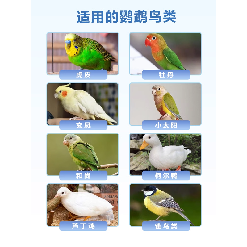 鹦鹉小鸟类啄羽寄生虫掉毛羽毛暗淡调理补充微量元素营养保健用品,淘宝优惠券,粉丝福利购,淘宝优惠卷