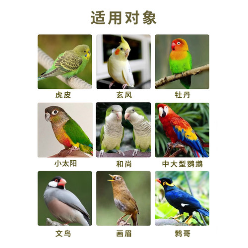 格莱德鹦鹉水溶钙补钙用品虎皮玄风鹦鹉饲料鸟食鸟粮补钙营养繁殖 - 图3