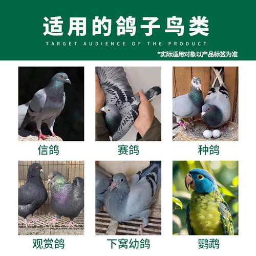 格莱德克豆康100片|赛鸽种鸽信鸽鸽子鸽痘期补充营养调理的保健品 - 图0