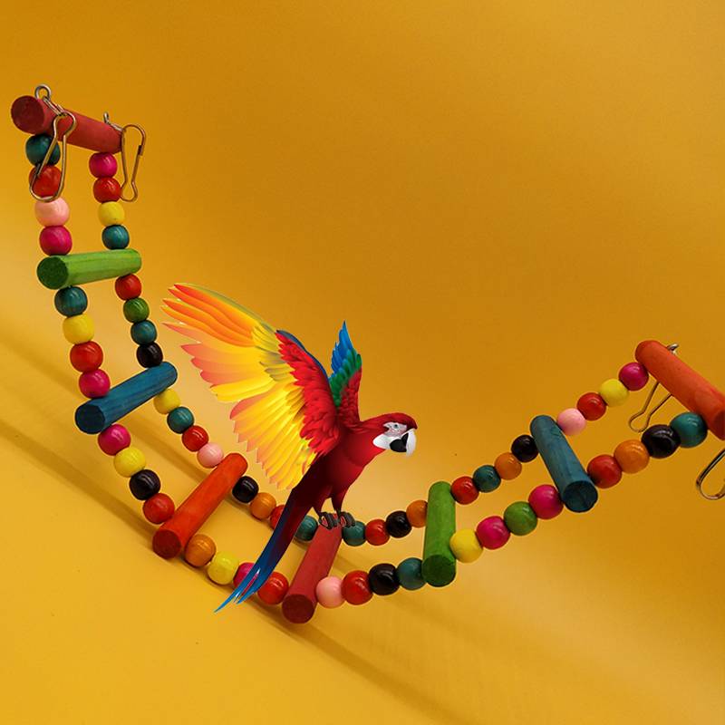 Cockatoo toy supplies set