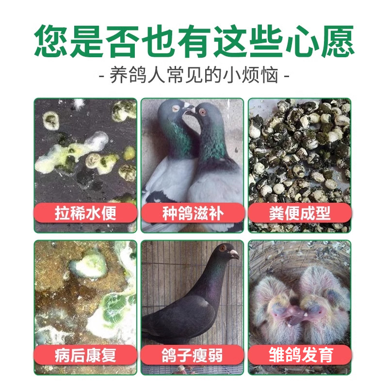 格莱德信种鸽子鸽用啤酒酵母粉补充蛋白质调理肠道活菌营养保健品,淘宝优惠券,粉丝福利购,淘宝优惠卷