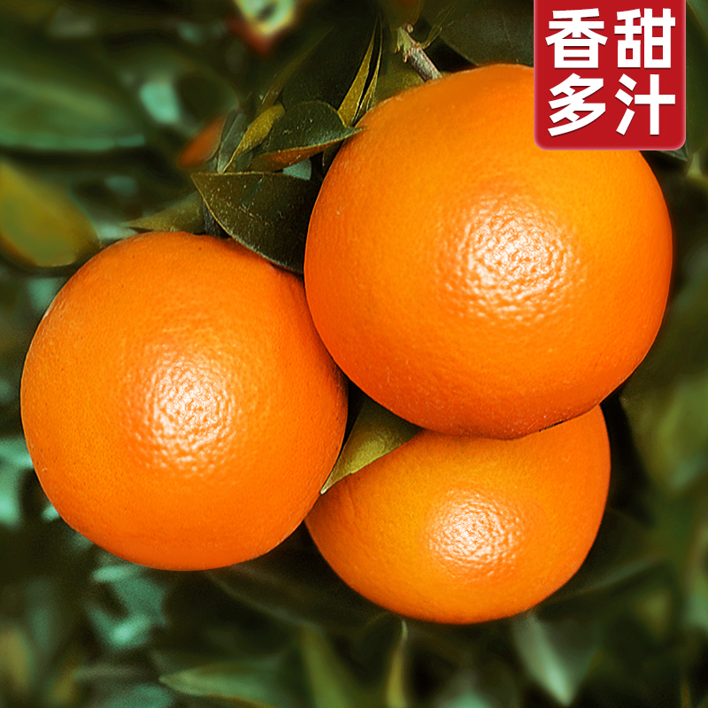 堡鲜生旗舰店江西赣南脐橙橙子新鲜水果当季整箱9斤正宗精品大果赣州甜10礼盒0