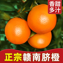 Jiangxi Ganang Navel Orange Orange Orange Zest Fresh Fruit When Season Full Box 5 Catty Authentic Boutique Grand Fruity Ganzhou Sweet 10 Gift Box