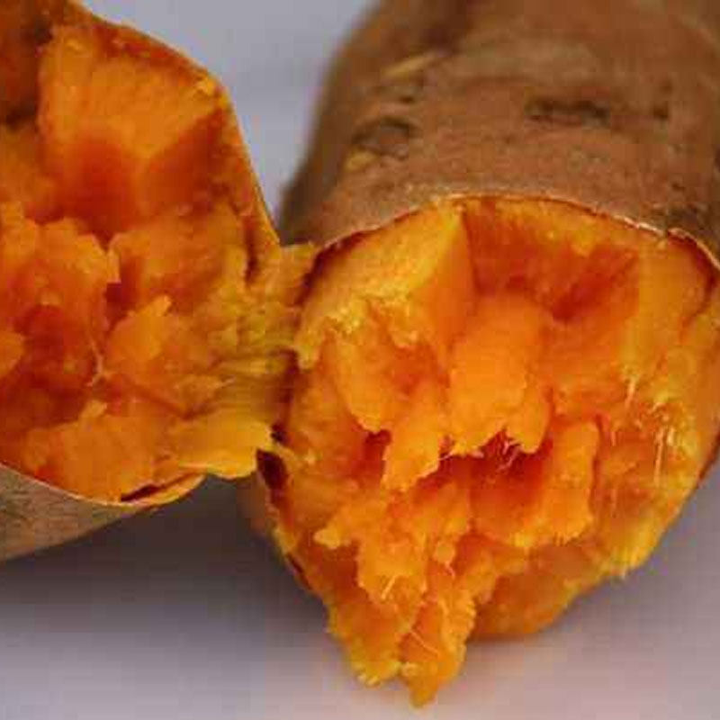 鲜颖新鲜5斤装农家自种现挖25地瓜 鲜颖番薯