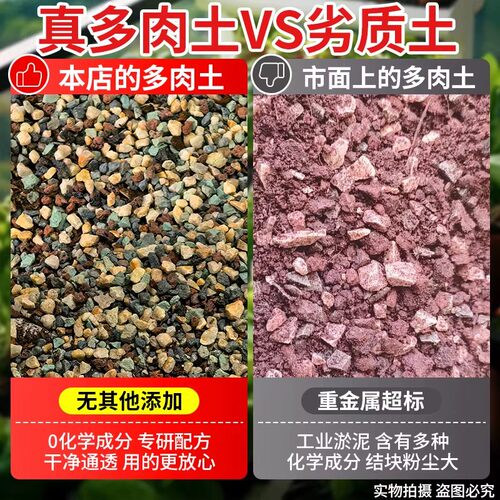 多肉专用颗粒土仙人球专用多肉颗粒土70营养土多肉植物花土铺面石 - 图2