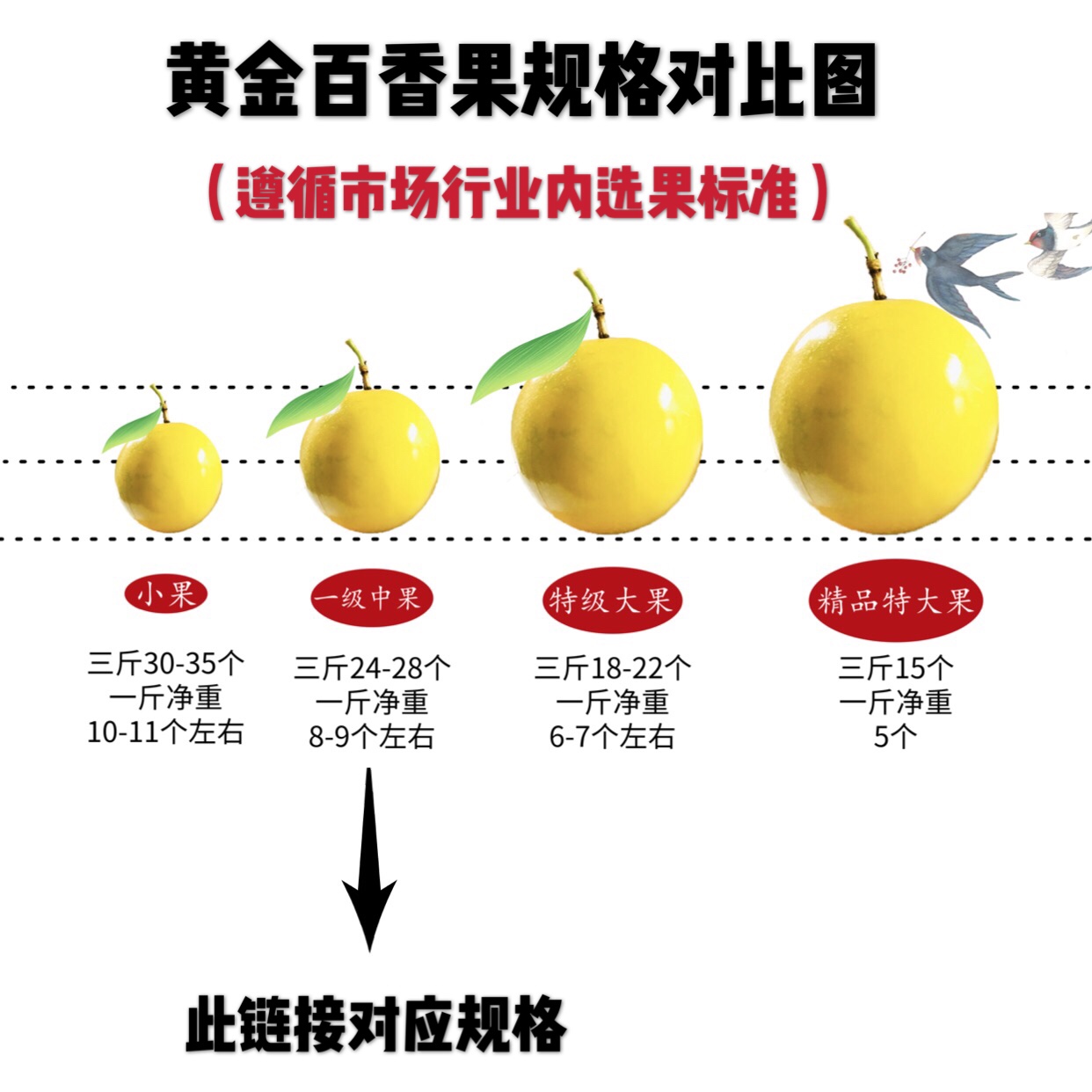 海南黄金净重一级中果百香果图片_3