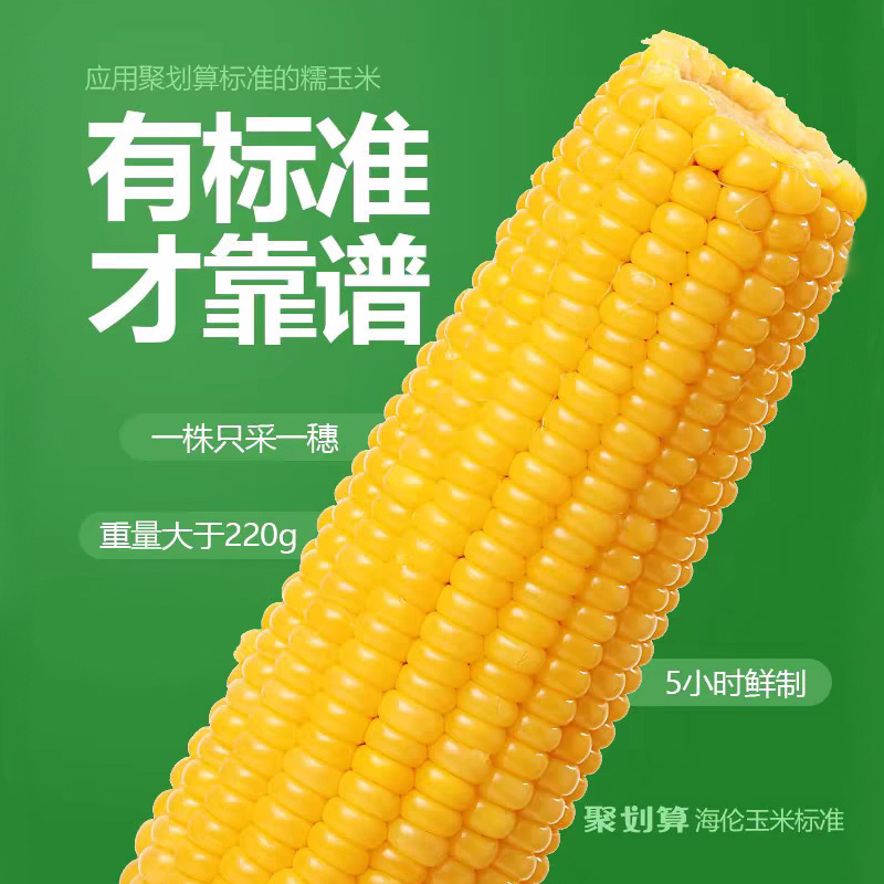 海农壹品玉米糯玉米新鲜现摘10支棒粘玉米甜糯真空装东北白糯玉米-图3