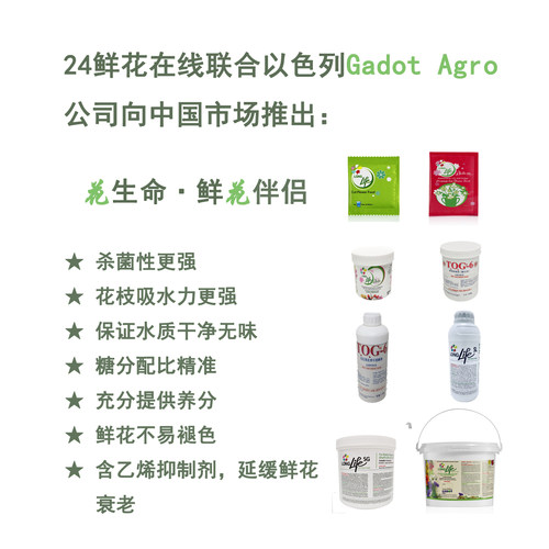 花生命 以色列 植物消毒剂TOG-6（醒花、洗花瓶消毒专用） 1kg\瓶 - 图1