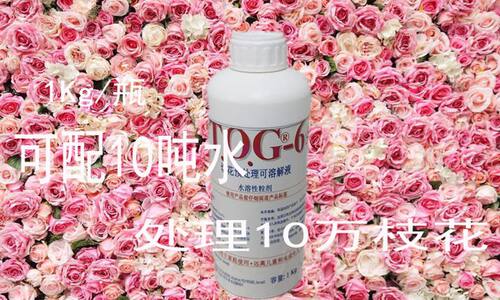 花生命 以色列 植物消毒剂TOG-6（醒花、洗花瓶消毒专用） 1kg\瓶 - 图3