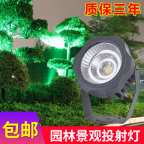 Projection lamp COB round shooting tree 30W inserts Grass Terrace Light Green Spotlight Outdoor Waterproof Garden Landscape Photos of trees
